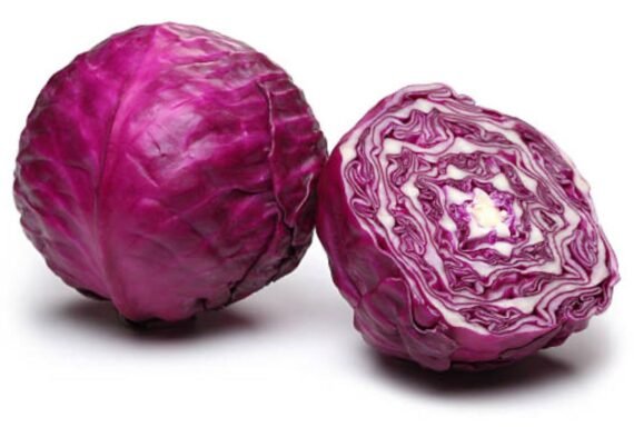 Repolho roxo - (und)