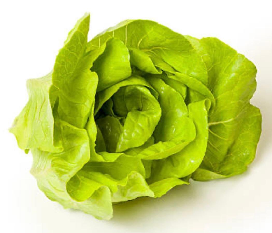 Bobo Emporio Vegano