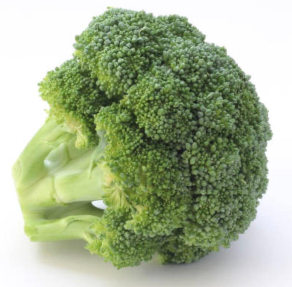 Bobo Emporio Vegano
