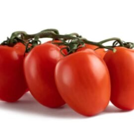 Tomate italiano/kg