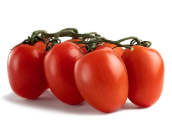 Tomate italiano/kg