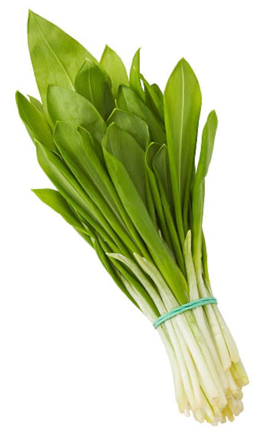 Bobo Emporio Vegano