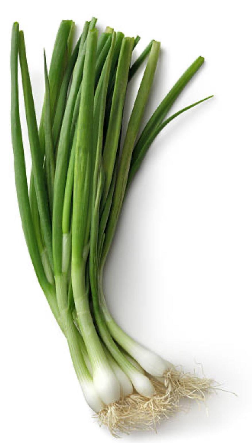 Bobo Emporio Vegano