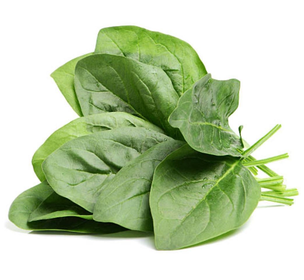 Bobo Emporio Vegano