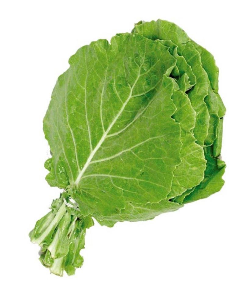 Bobo Emporio Vegano