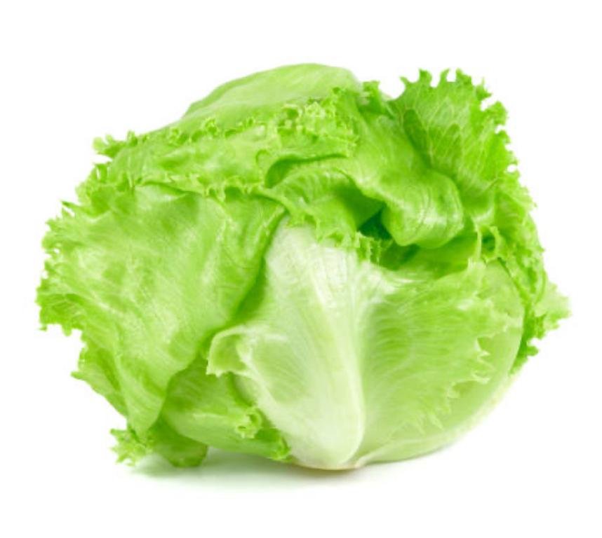 Bobo Emporio Vegano