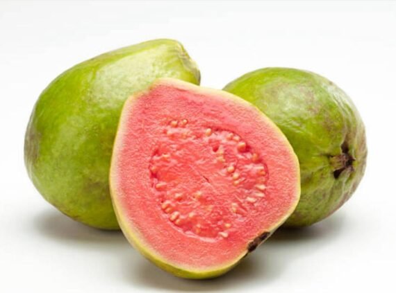 Goiaba (1,100g - 1,370)