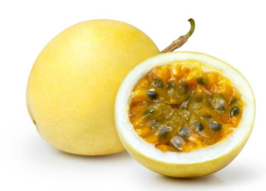 Bobo Emporio Vegano