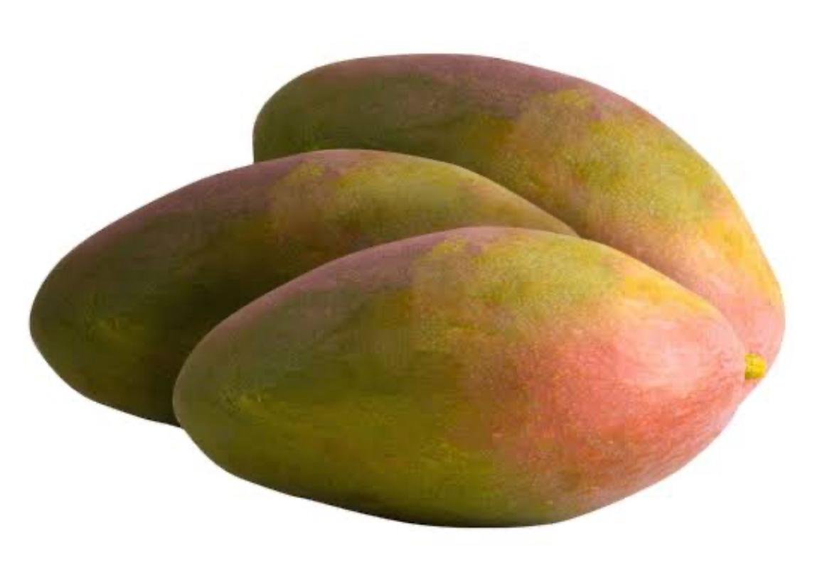 Bobo Emporio Vegano